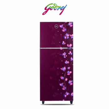 Buy Godrej 253L 2 Star RT EONALPHA 270B 25 RI JD WN Frost Free Double Door Refrigerator - Kitchen Appliances | Vasanthandco